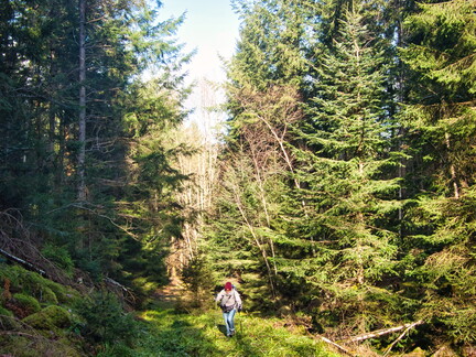 20220205202145-58c1e189